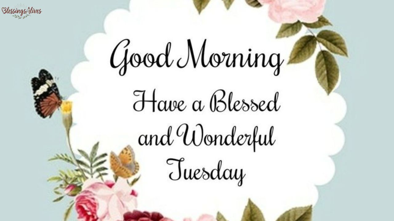 Beautiful Good Morning Blessed Tuesday